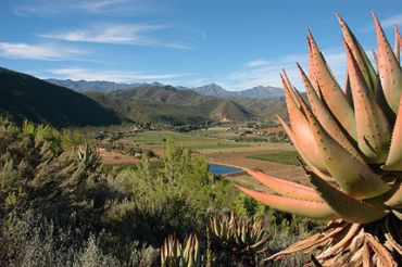 Oudtshoorn - Schoemanshoek